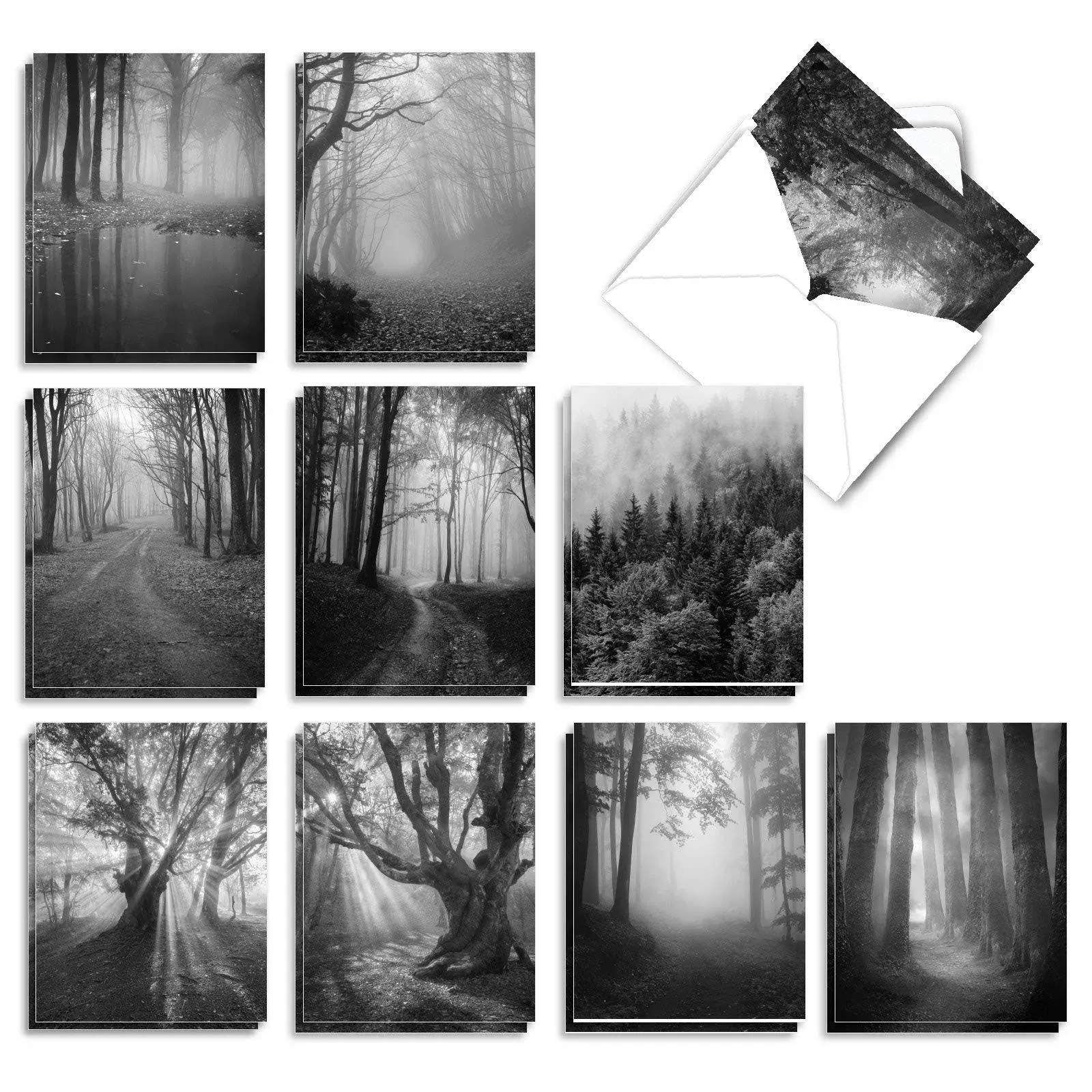 The Best Card Company - 20 All Occasion Blank Greeting Cards (4 x 5.12 Inch) - Monocolor Photos (10 Designs, 2 Each) - Misty Woods AM7167OCB-B2x10