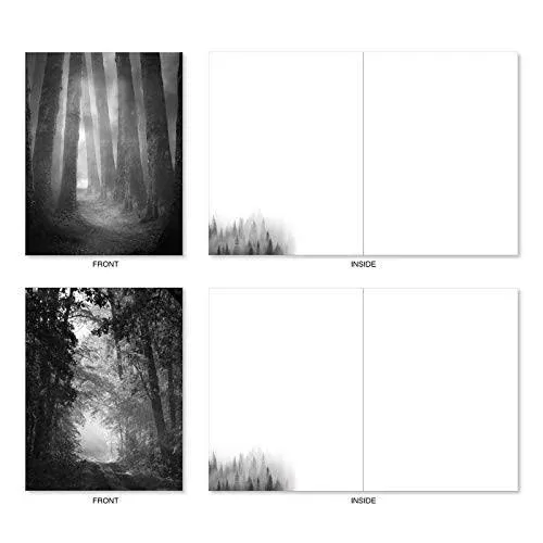 The Best Card Company - 20 All Occasion Blank Greeting Cards (4 x 5.12 Inch) - Monocolor Photos (10 Designs, 2 Each) - Misty Woods AM7167OCB-B2x10