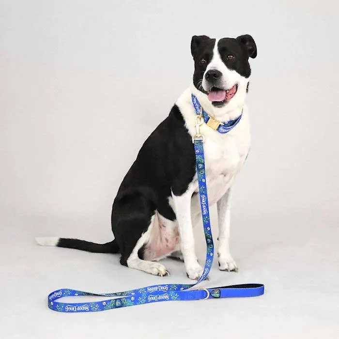 Snoop Doggie Doggs Blue Halftime Deluxe Pet Lead, Large, 5 ft.