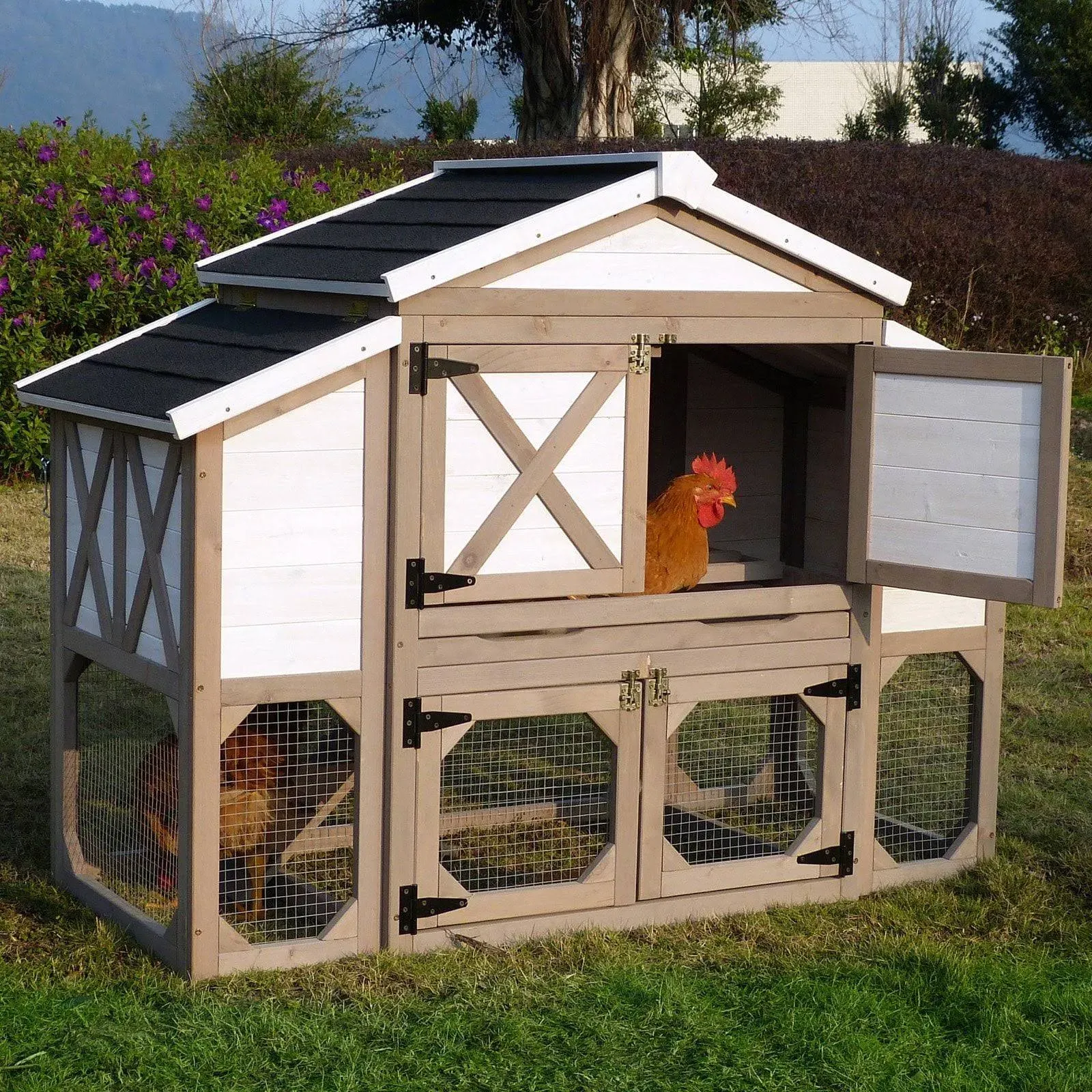 Chicken Coop Country Style