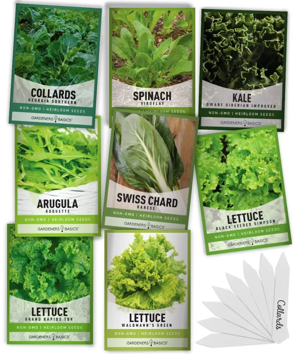 Leafy Green Salad Seeds | 8 Variety Pack