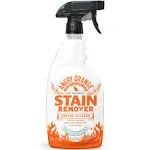 Angry Orange Enzyme Pet Stain Remover