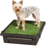 PetSafe Pet Loo Portable Indoor & Outdoor Dog Potty