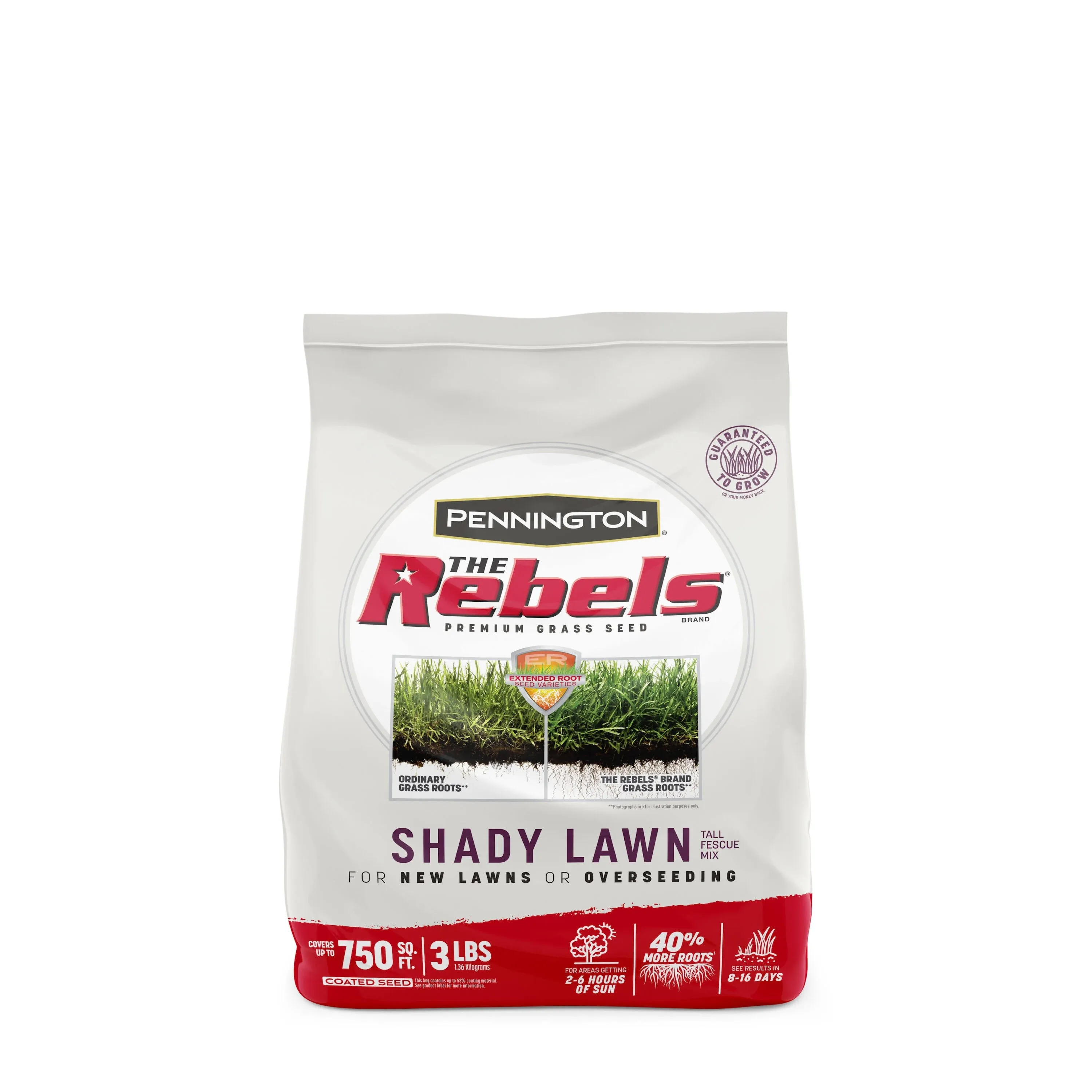 Pennington 100543725 The Rebels Tall Fescue Shady Grass Seed Mix 3 lb, Black Label