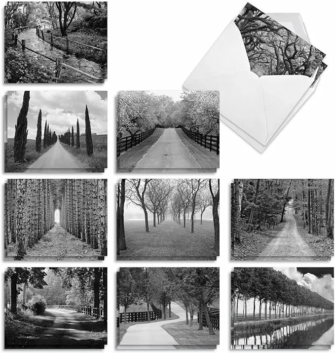 The Best Card Company - 20 All Occasion Blank Greeting Cards (4 x 5.12 Inch) - Monocolor Photos (10 Designs, 2 Each) - Tree Lines AM3313OCB-B2x10