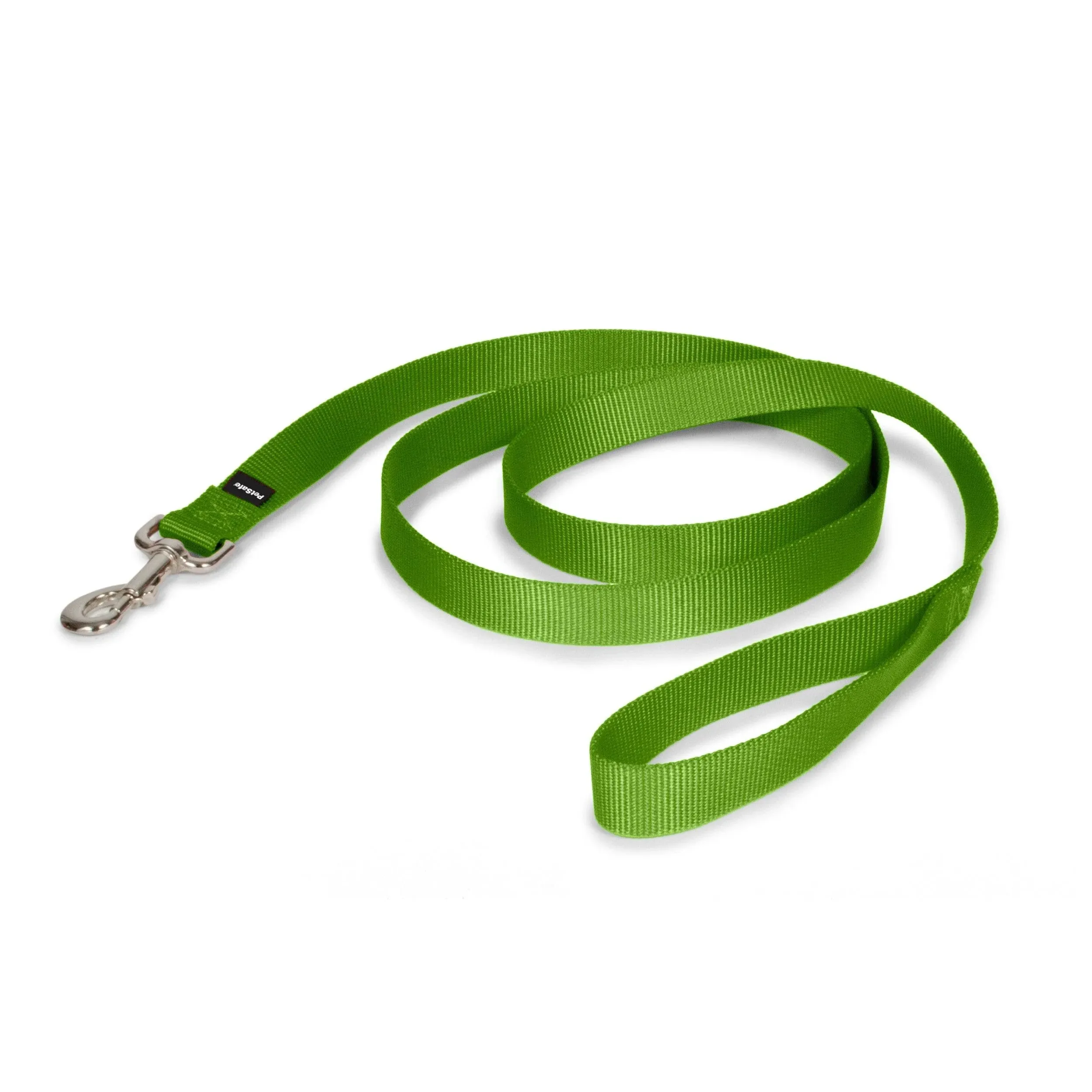 PetSafe Premier Apple Green Nylon Dog Leash - 1" Width, 6-Feet