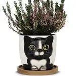 Window Garden Animal Planters - Large Oreo Kitty Pot for Indoor Live Plants, Succulents, Flowers & Herbs