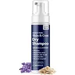 Honest Paws Skin &amp; Coat Dry Shampoo - Oatmeal &amp; Lavender 6.3 fl oz - Ex: 7/25