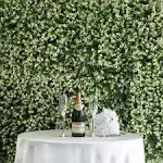 11 Sq ft White Tip Green Boxwood Hedge Garden Wall Backdrop Mat