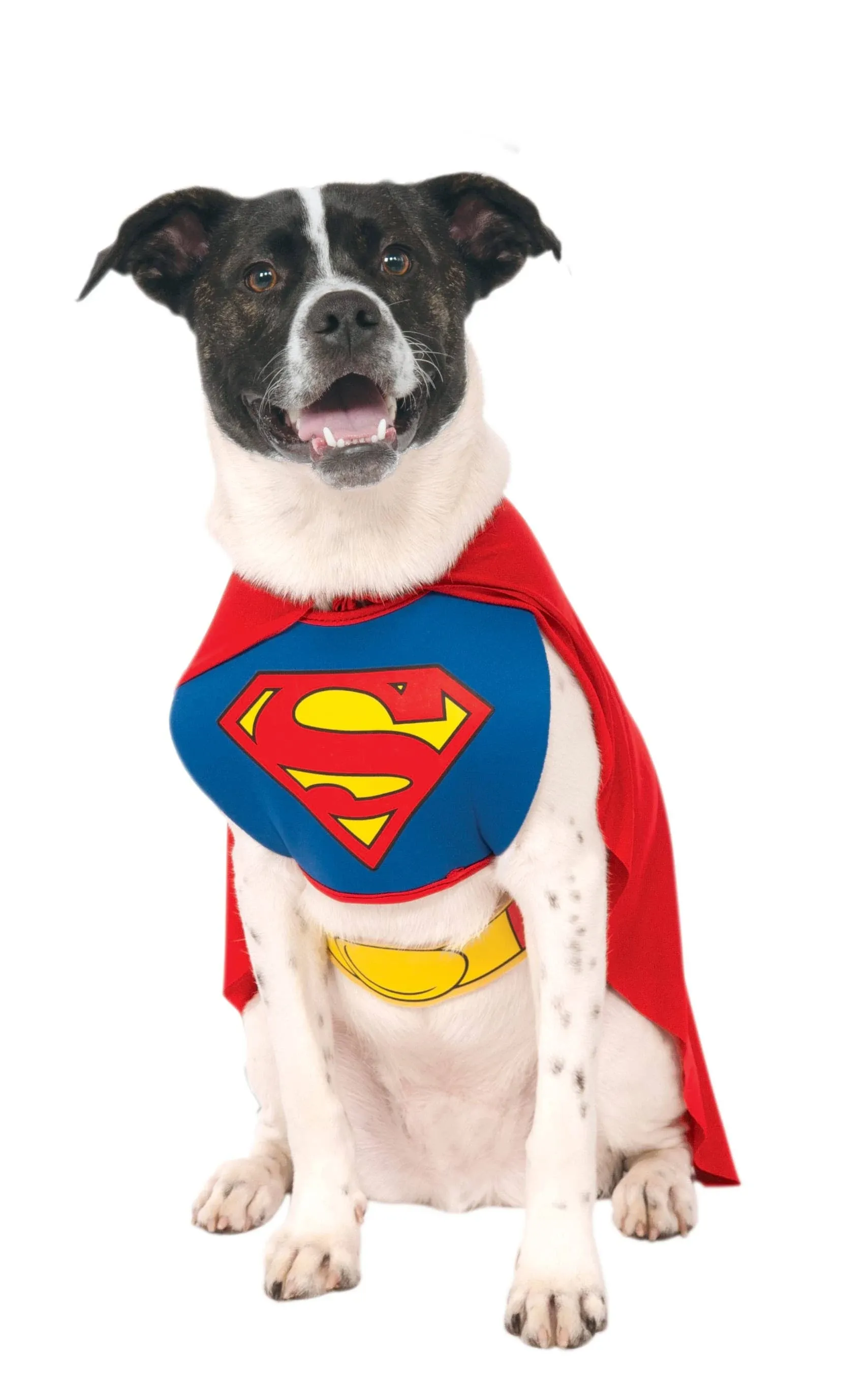 DC Comics Pet Costume, Superman, Large