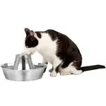 PetSafe Seaside Stainless Pet Fountain