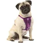 Kurgo Tru-Fit Enhanced Strength Dog Car Harness